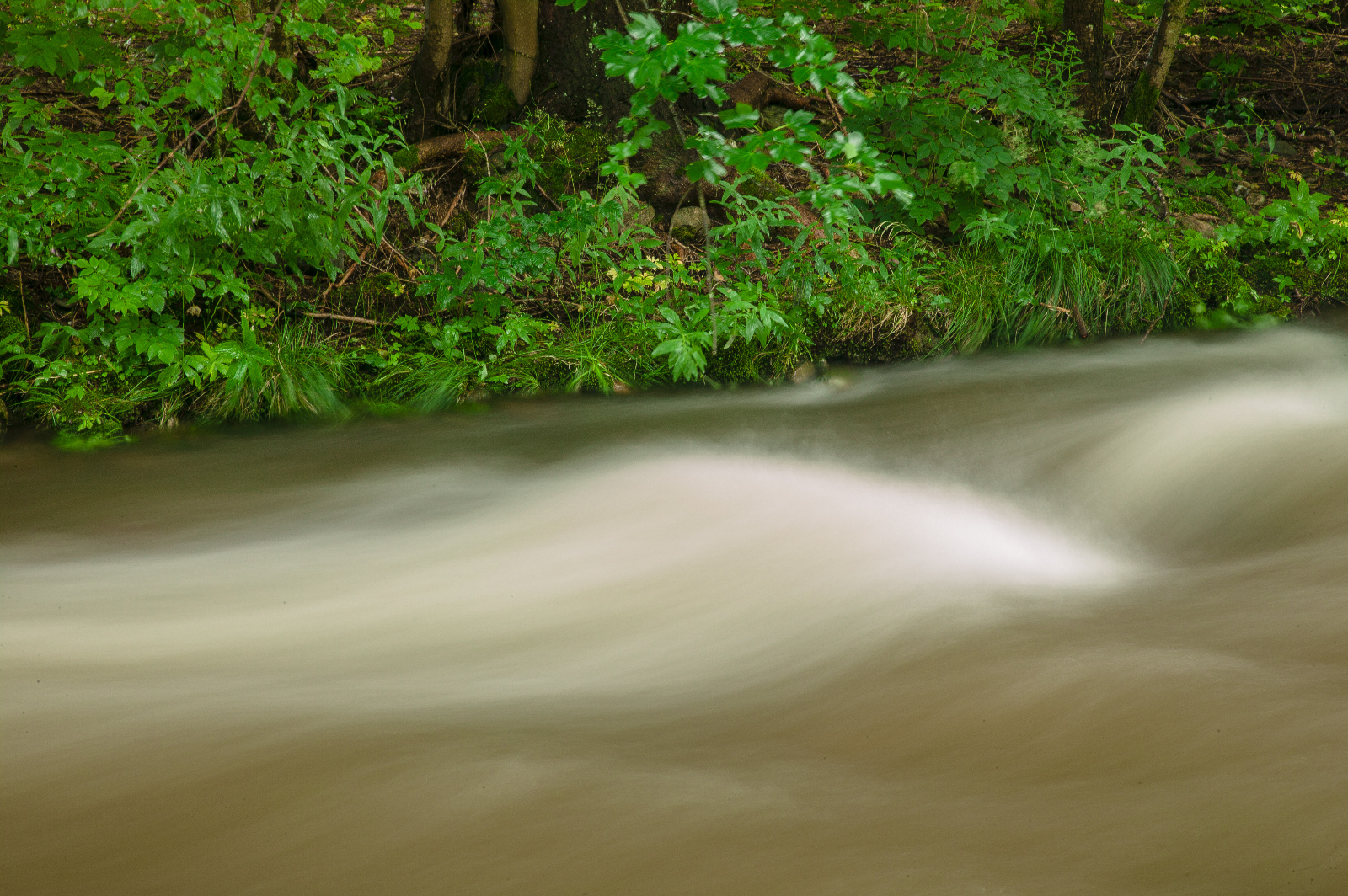 20DU3105 (72 von 153)